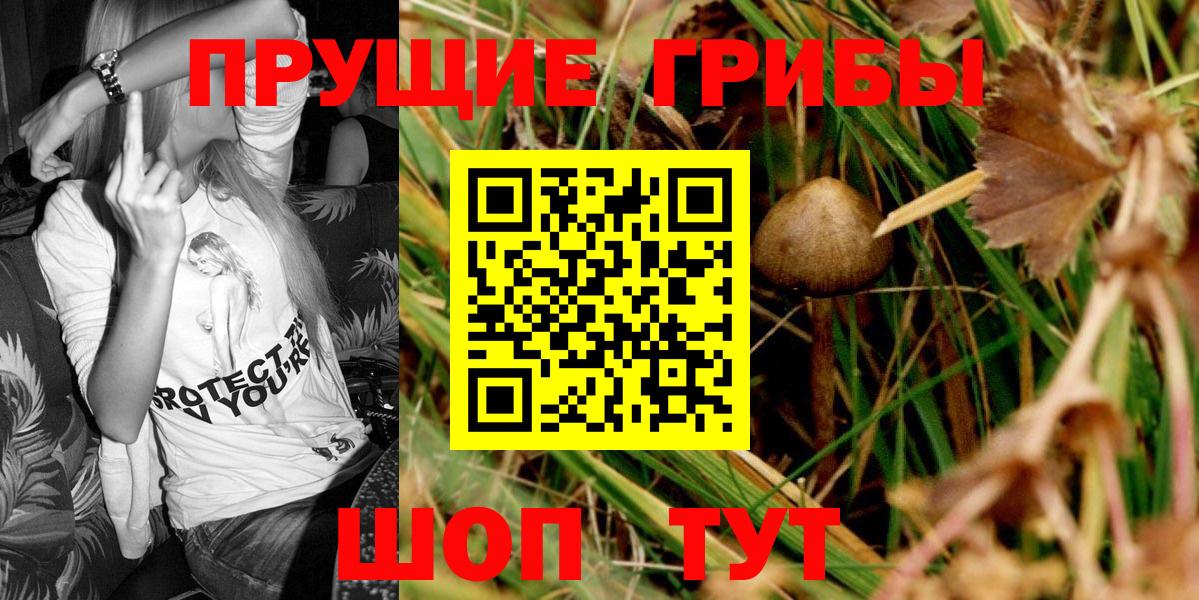 Галлюциногенные грибы мухоморы  Вход с VPN  Корсаков 