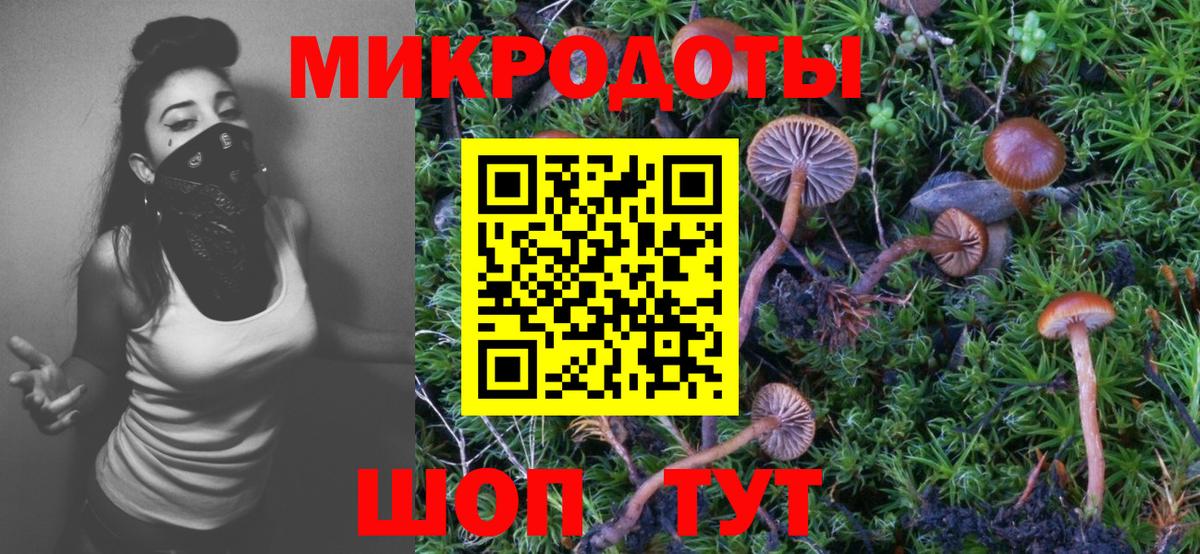 Галлюциногенные грибы мухоморы Корсаков