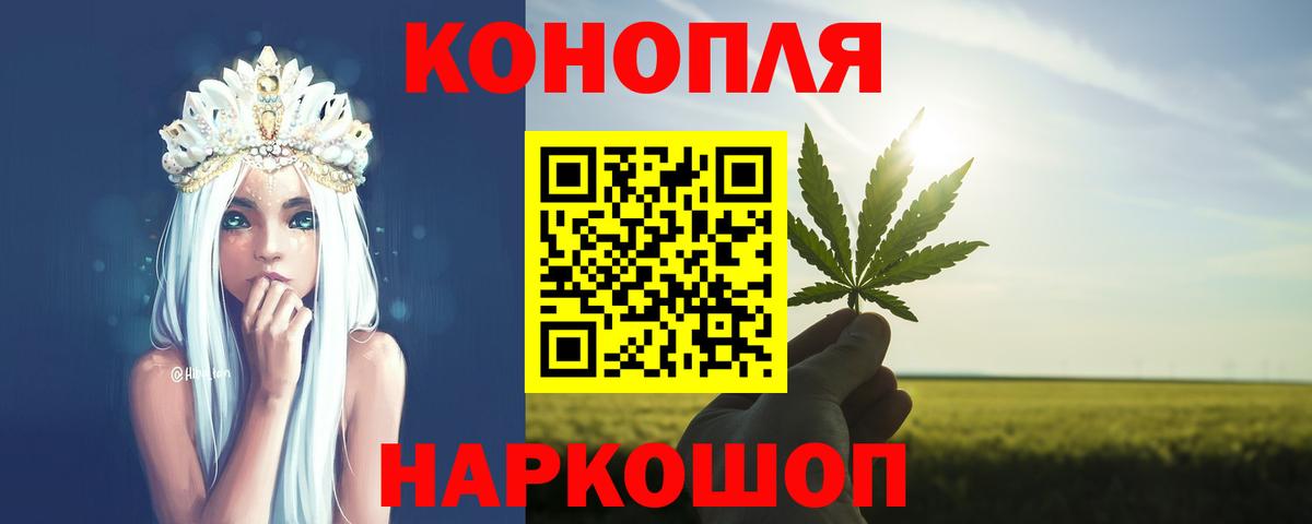 Канабис сатива Корсаков